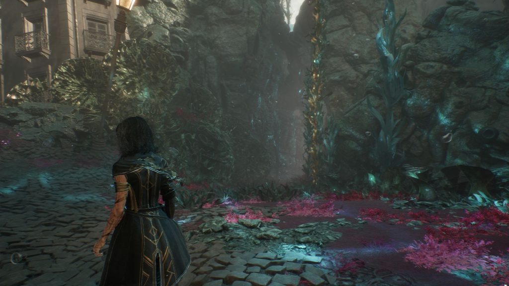 expedition 33 шкура бутонье