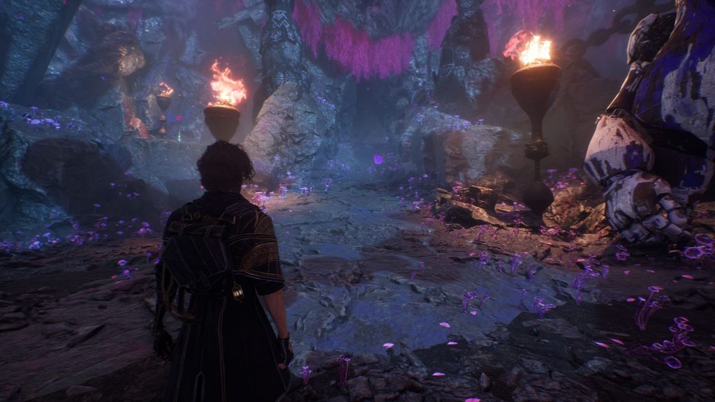 синие грибы в Expedition 33