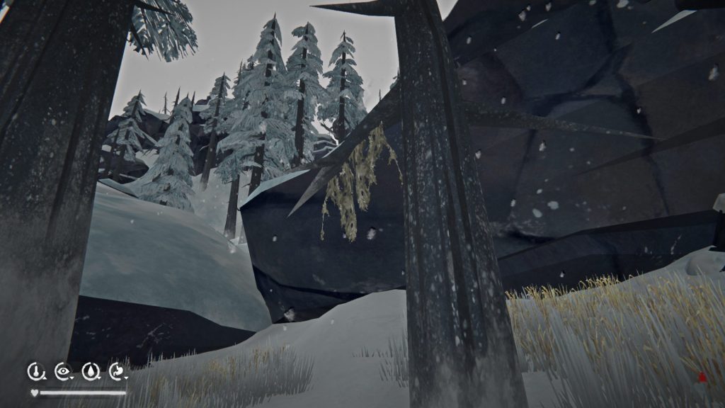 старый висящий мох лонг дарк