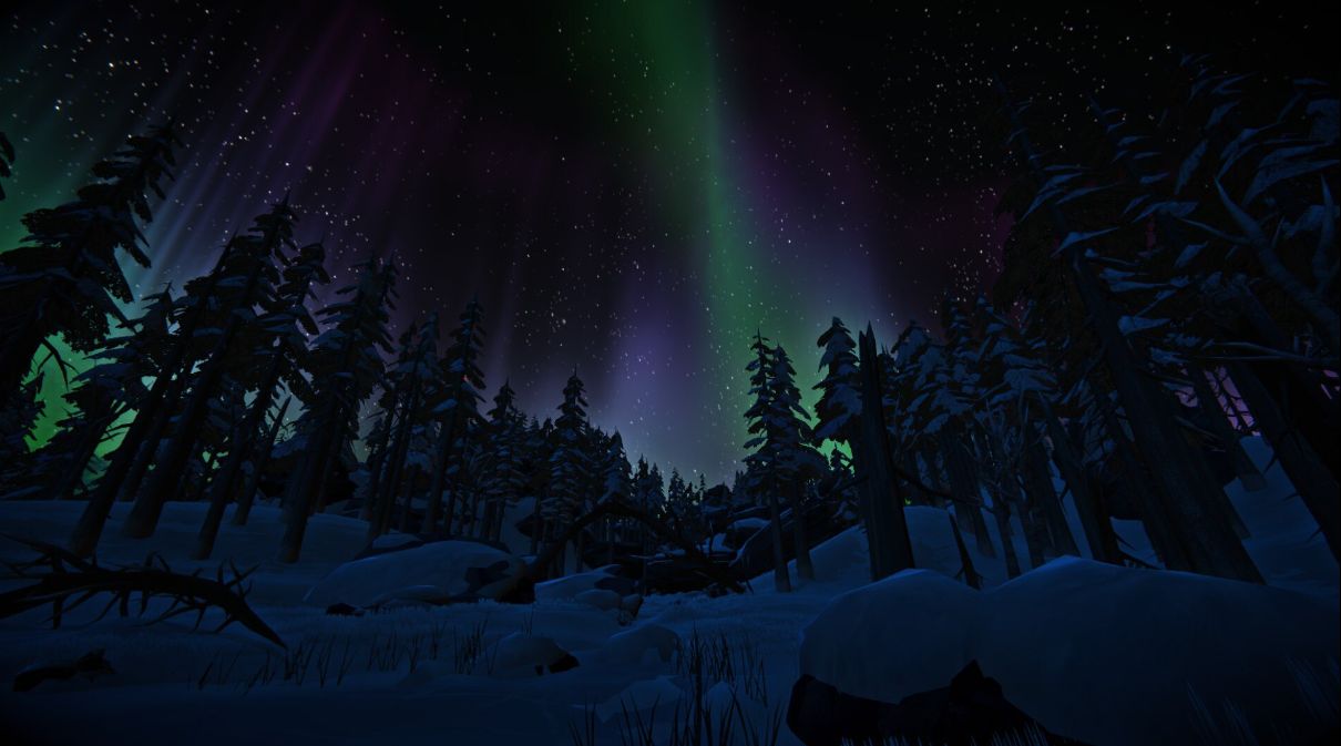 the long dark