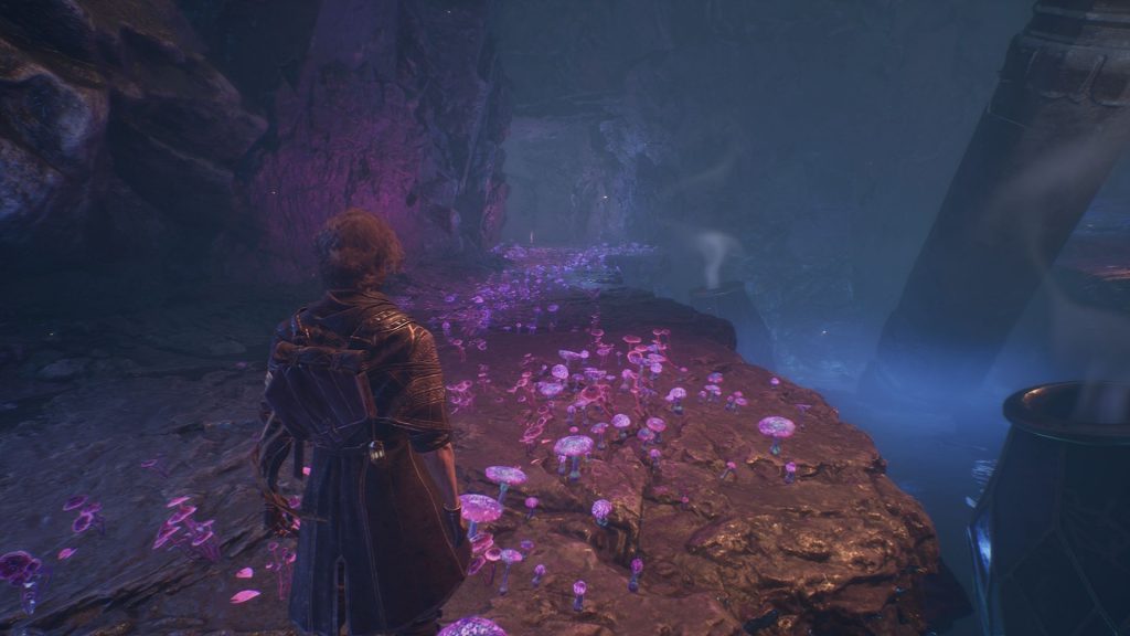 секреты гнездо эскье в Expedition 33