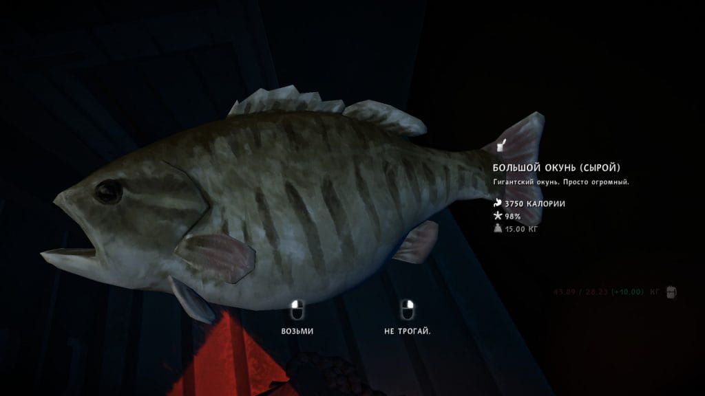 байка Большая рыба 3 эпизод лонг дарк