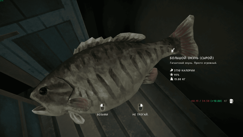 большой окунь 15 кг — награда за байку Большая рыба Лонг Дарк