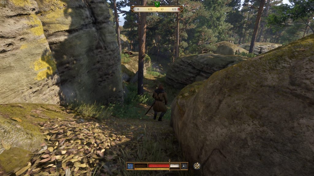 поиски Вашека в лесу