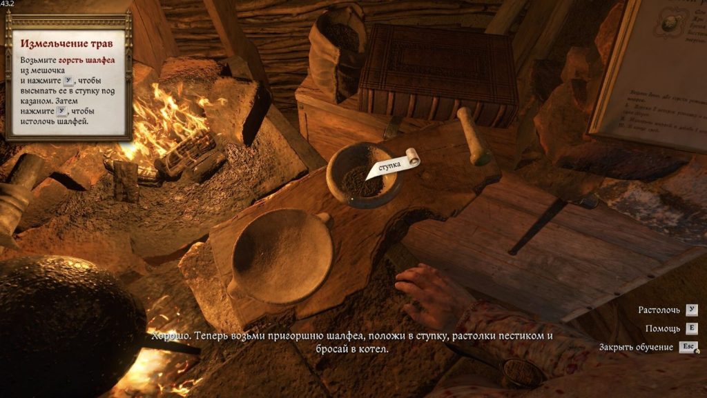 измельчение шалфея в ступке