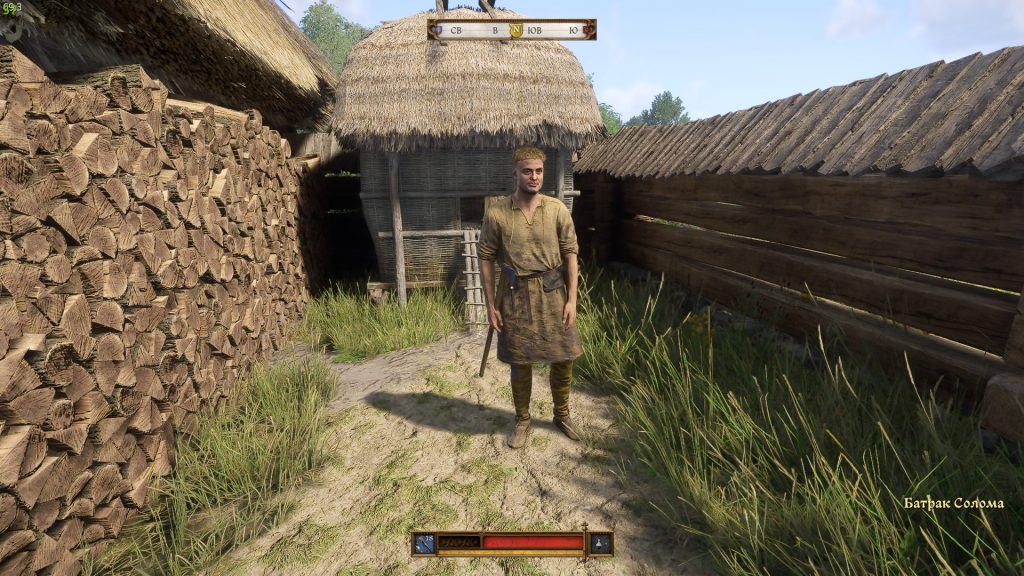 Поговорить с Соломоном — допрос батрака Якеша