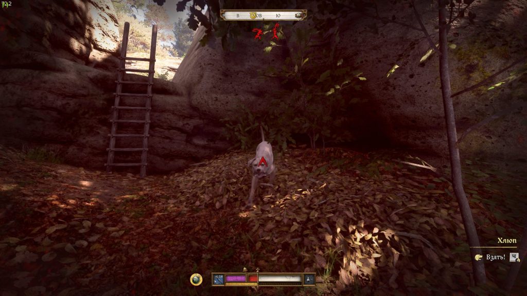 Спасти Павлену в ущелье — переговоры с Олдрой