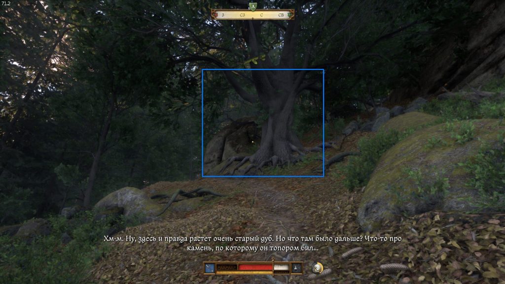 старый дуб ориентир