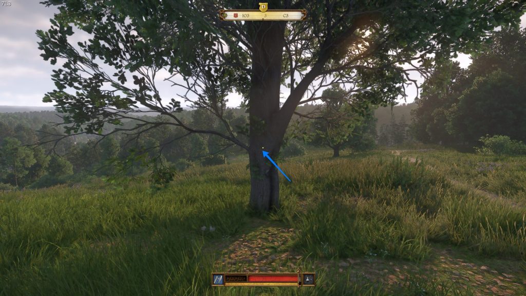 где найти межевой гвоздь kingdom come 2