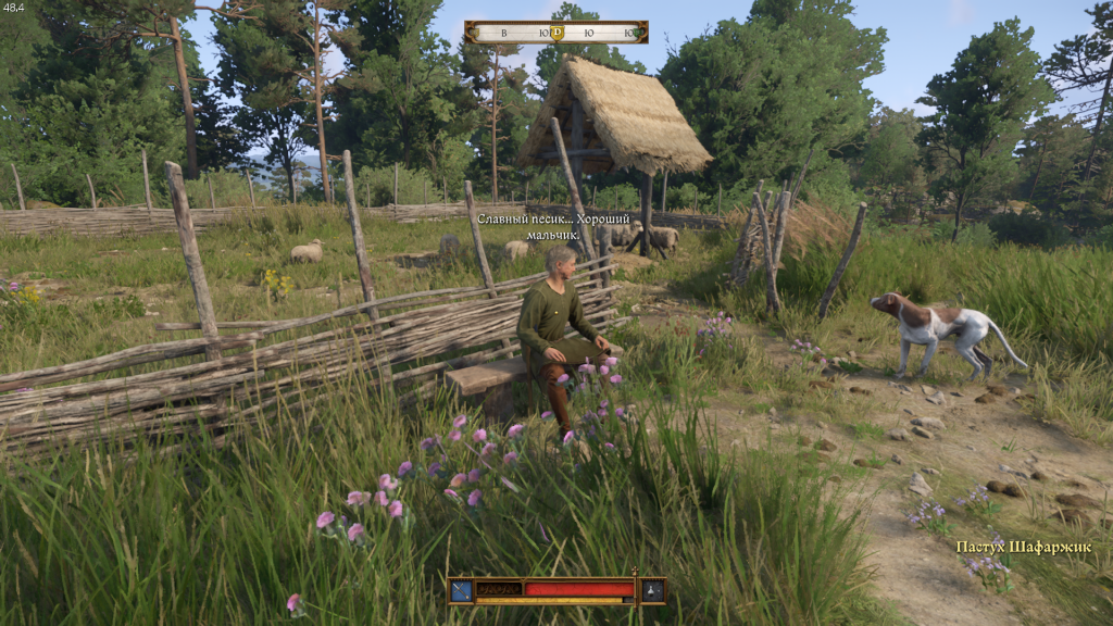 пастух Шафаржик в Аполене — свидетель видения Отшельник