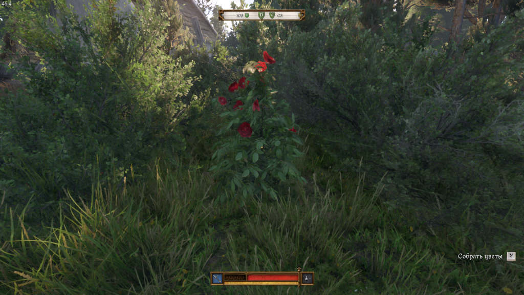 куст с красными цветами — могила Яна вне кладбища