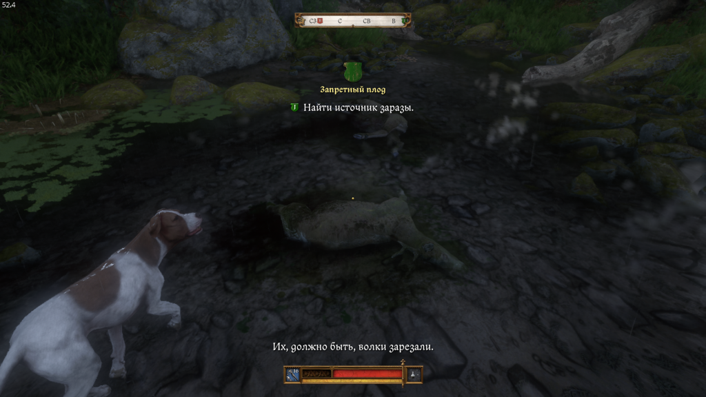 мертвые олени в ручье — причина отравления свиней