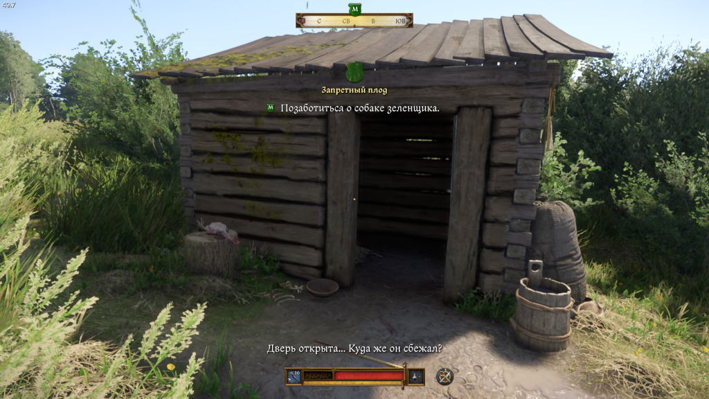 поиск собаки на заднем дворе — Запретный плод