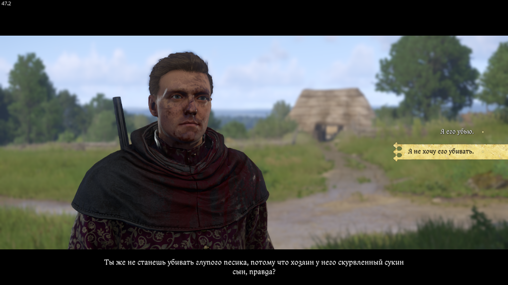 отравление собаки — выполнение задания Игнаца