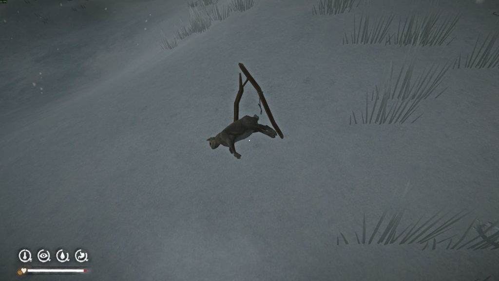 кролик в капкане — успешная охота The Long Dark